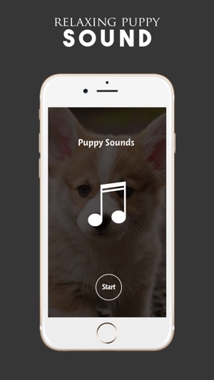 Puppy Sounds:Calming Music For Relaxatio