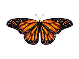 This completely ANIMATED butterfly pack will make your friends go "wow