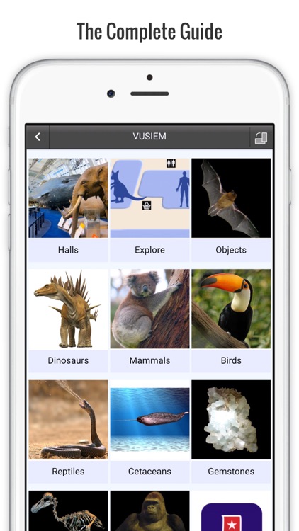 Natural History Museum Guide