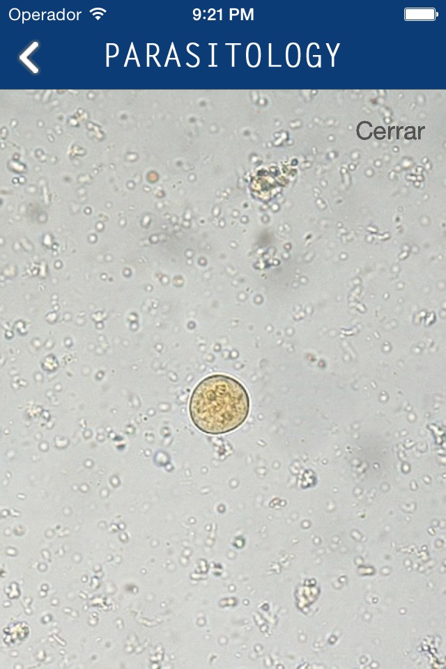 Parasitology screenshot 3