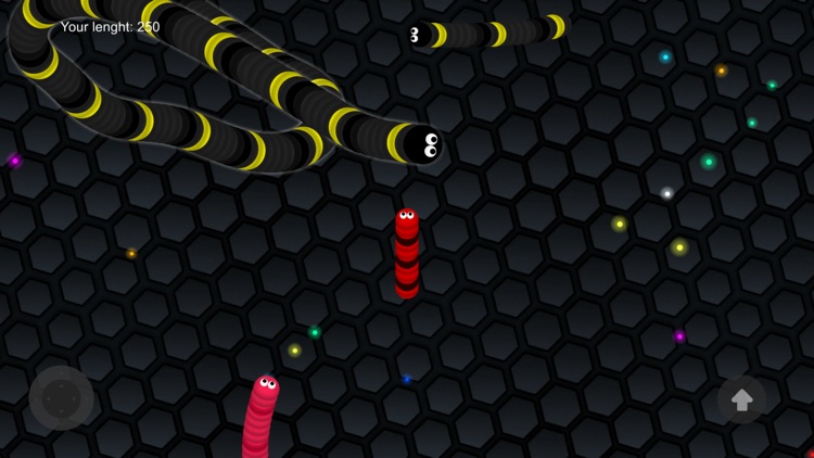 Anaconda.io Slither Snake Battles