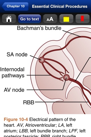 Essential Clin. Procedures 3/E screenshot 4