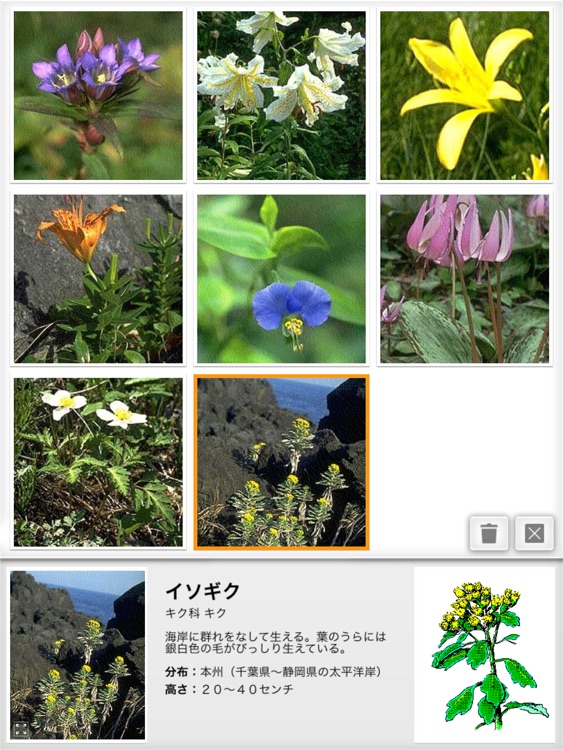 リング図鑑 《植物》 screenshot-4