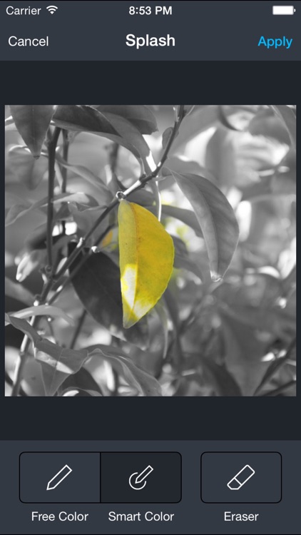 Photo Wizard - Photo editor & share screenshot-4