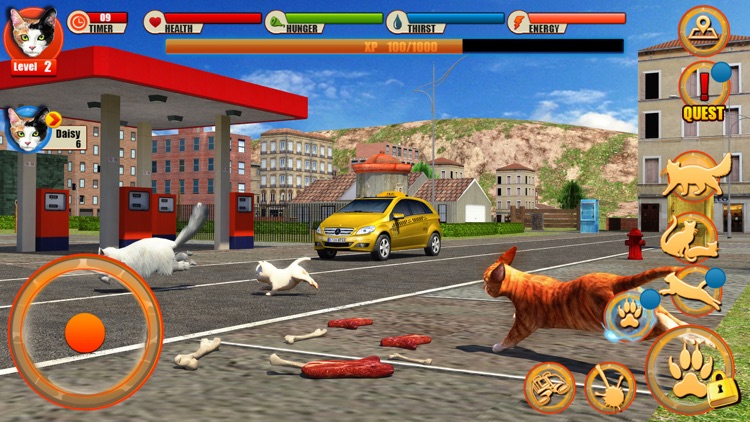 Street Cat Sim 2016 screenshot-4