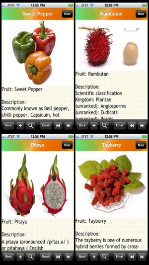 Fruits Bible(圖3)-速報App