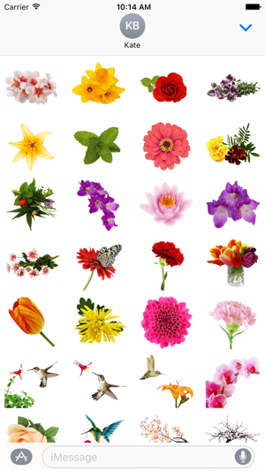 ‎Spring Flowers Stickers for iMessage Screenshot