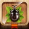 - The most amazing app for Photo morphing With Insects