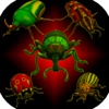 Real Bugs: Beetle Smasher 3D