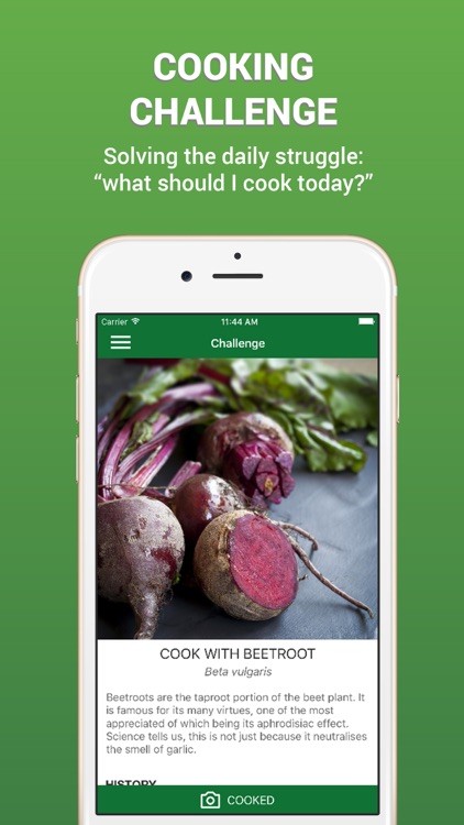 Frescana | The Social Cooking App