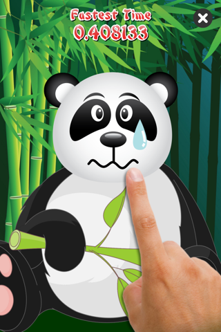 Poke the Panda screenshot 4