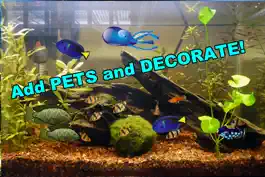 Game screenshot Aquarium Builder: My Pet Fish Tank Maker apk