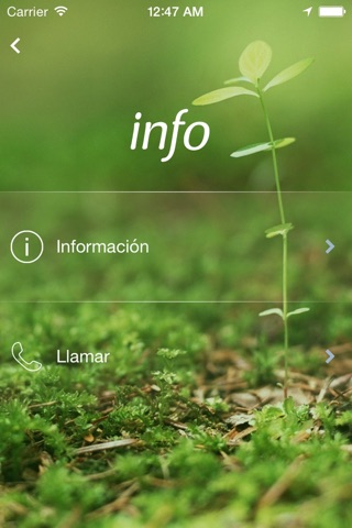 Fundación Salomón screenshot 2