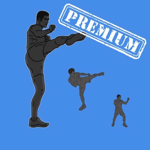 Kickboxing Workout Premium Version - Cardio interval routine to improve your fighting skills icon