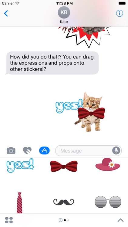 Kitty Stickers-Show Big Feelings with Cat Stamps!