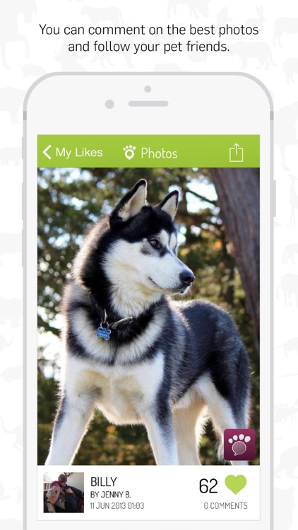 Tractive Photos - Pet Photo Gallery