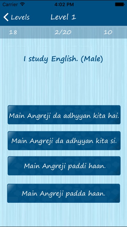 Learn Punjabi Quickly Pro screenshot-3