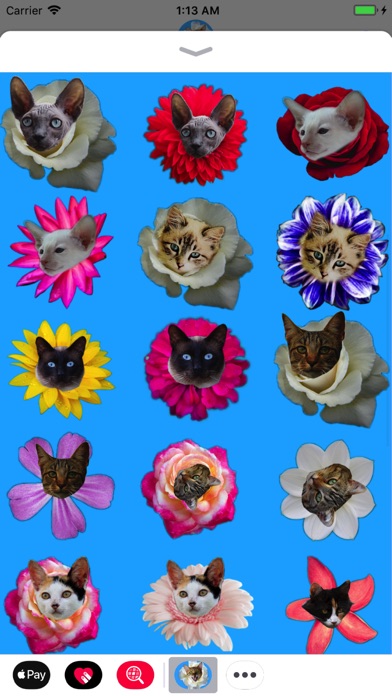 Kitty Bouquet screenshot 3