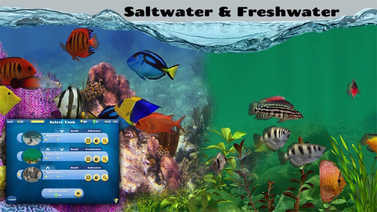 Fish Farm 2