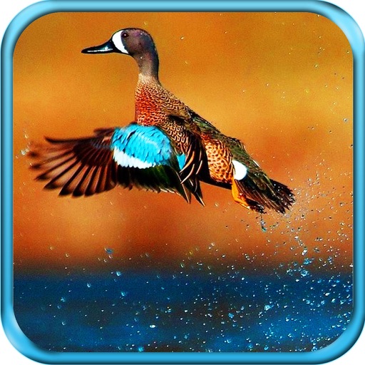 Great Duck Hunting Icon