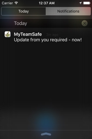 MyTeamSafe screenshot 4