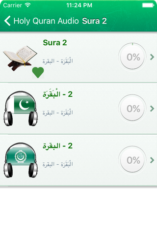 Quran Audio Pro : Urdu, Arabic screenshot 2