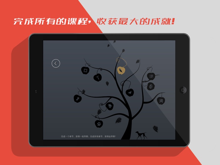 Illustrator CC 互动教程 for iPad screenshot-4