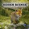 Hidden Scenes is a game similar to a jigsaw puzzle where you swap and flip the pieces to reveal the hidden scene