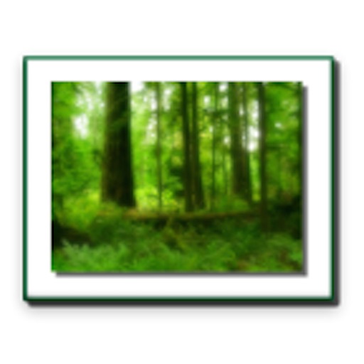Forest (Conservation) Act 1980 icon