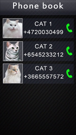 Fake Video Call Cat(圖3)-速報App