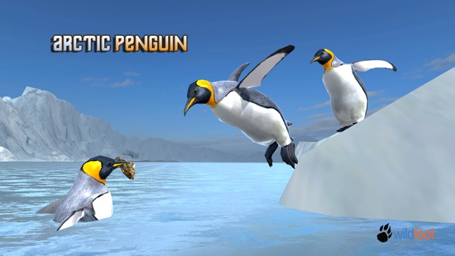 Arctic Penguin Simulator(圖2)-速報App