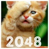 Cute Cat 2048