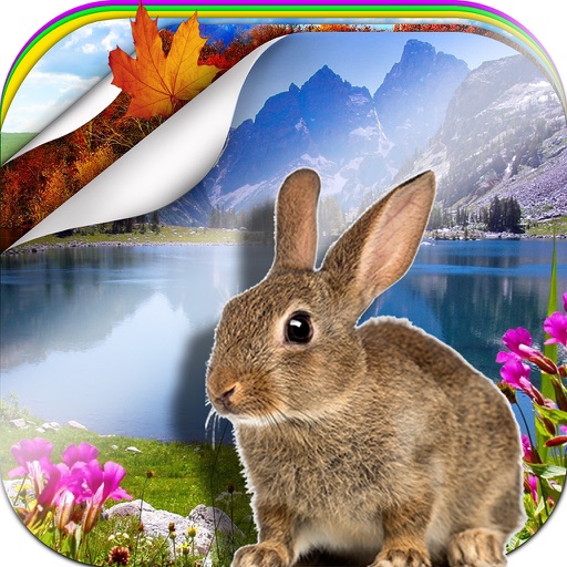 Nature Wallpapers HD – Beautiful Landscape Backgrounds & Lock Screen with Scenery Themes icon