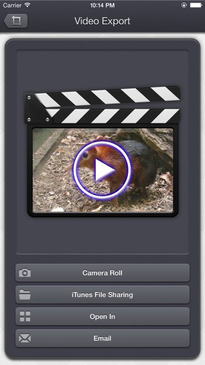 Video Crop & Zoom - dynamic crop, zoom, and rotation in your videos screenshot-4