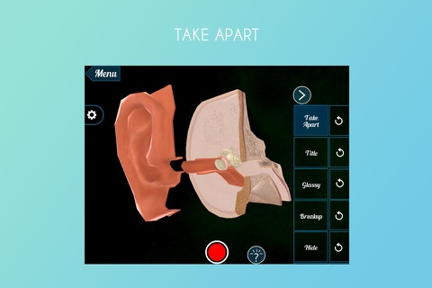 Virtual Reality(VR) Human Ear screenshot 2