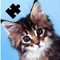 Jigsaw puzzles Cats and kittens - educational games for children 3 - 7 years