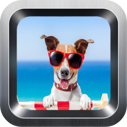 Learn English Via Dogs & Puppies Names Games for Kids icon