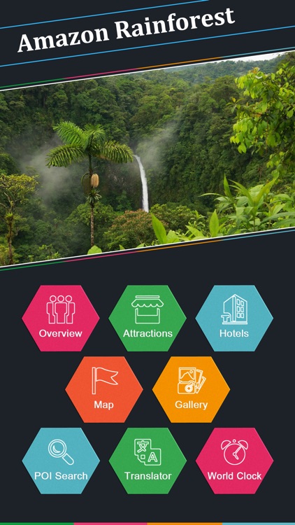 Amazon Rainforest