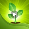 Videos: Yard and Garden Design - Plant and Gardening Reference with 'How to Video Guide'