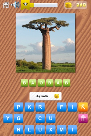 Garden Quiz - Reveal the Plants, Flowers, Trees and Greens from around the world! screenshot 3