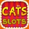 Cats Free Casino  - Machines Slots