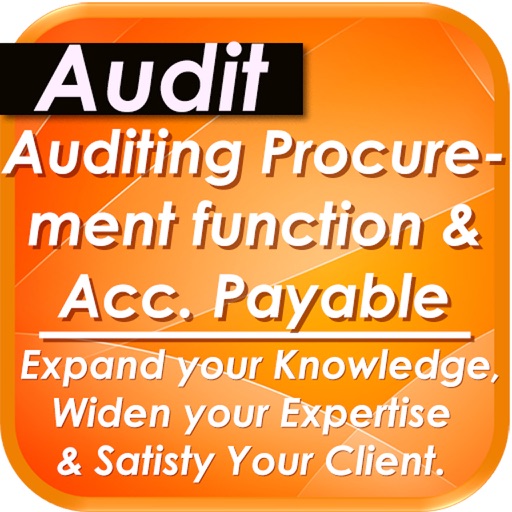 Audit of Accounts Payable & Procurement Process