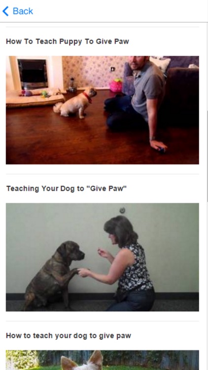 How To Train Dog - Canine Advice, Tips and Tutorials screenshot-4