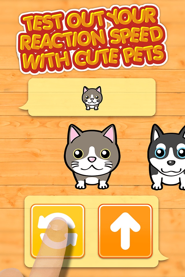 Neko & Doggie Dojo - My Dear Mini Smart Pets Choice Games screenshot 2