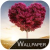 Best Free Love wallpaper for iphone