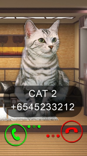 Fake Video Call Cat(圖2)-速報App