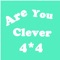 Are You Clever - 4X4 Puzzle