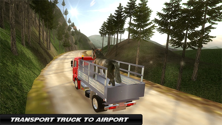 Cargo Plane : Horse Transporter