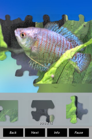 Fish - Puzzles screenshot 3