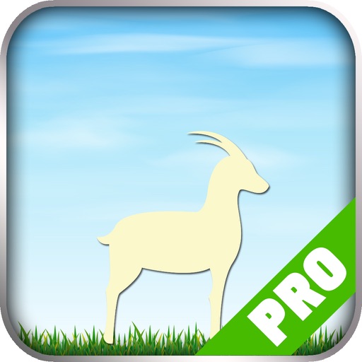 Mega Game - Mount Your Friends Version iOS App